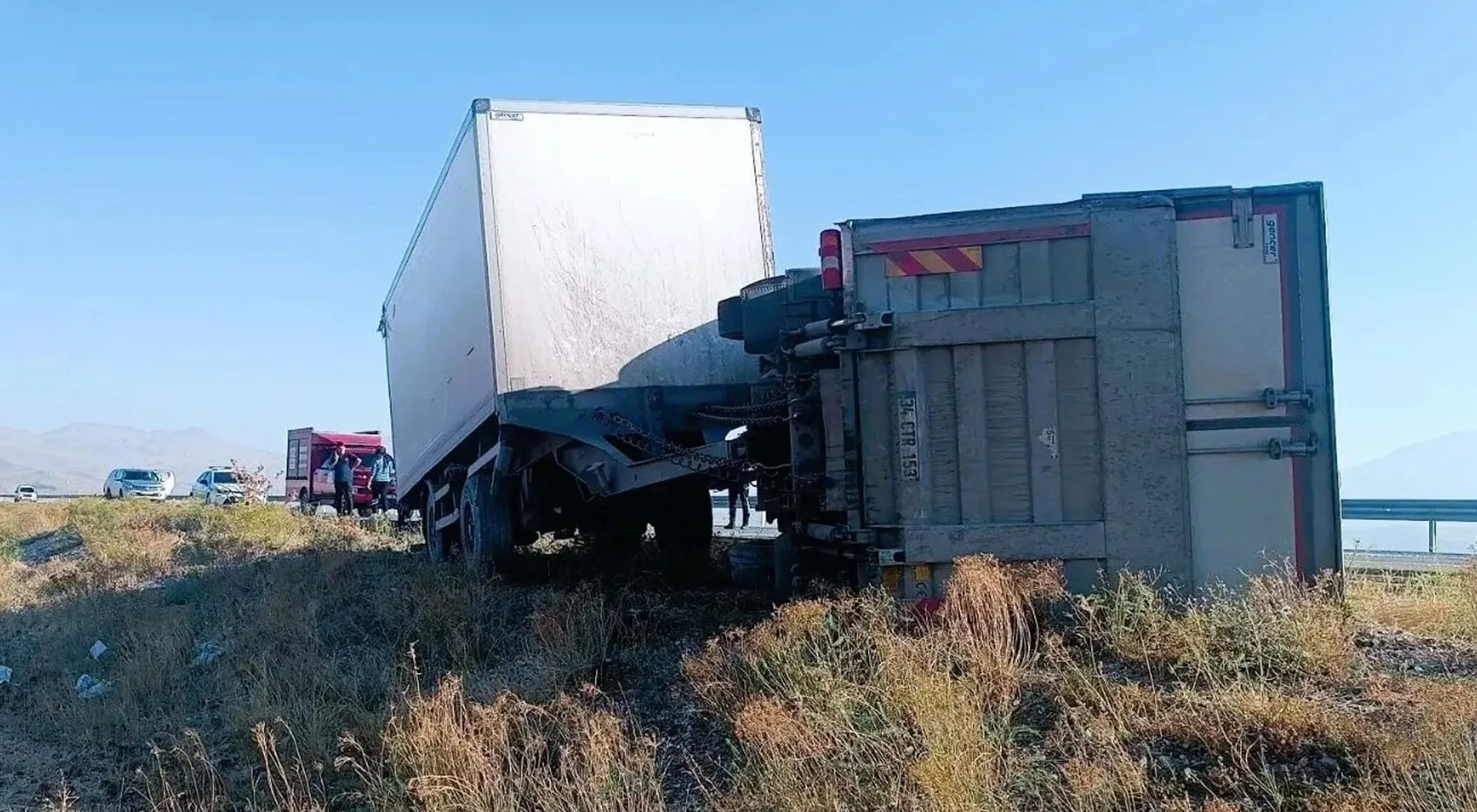 Iğdır'da aniden yola fırlayan eşek faciaya davetiye çıkardı: Kamyon devrildi
