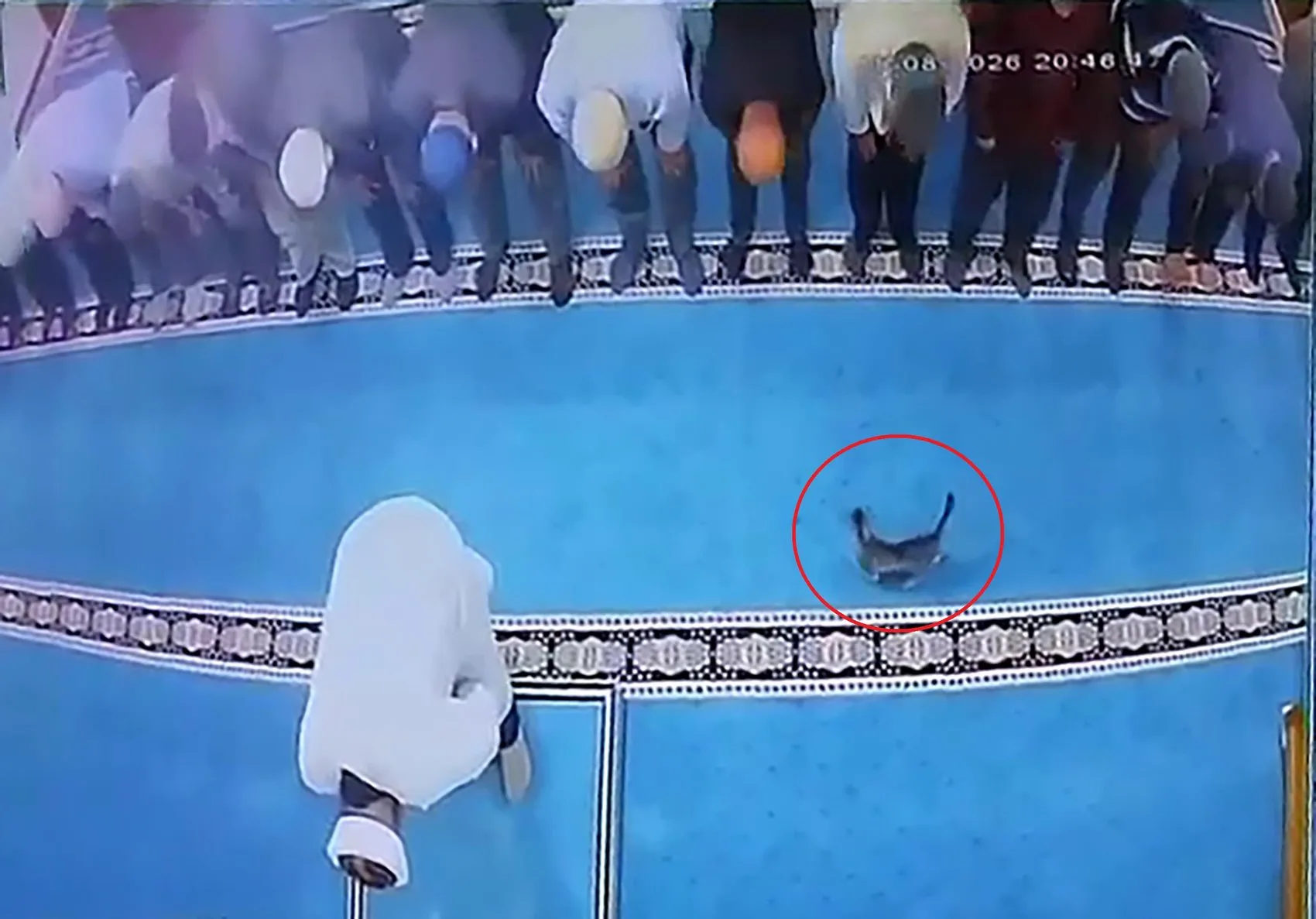 İbadethanede vicdanları sızlatan anlar: Kediyi tekmeledi, imamın başına çarptı