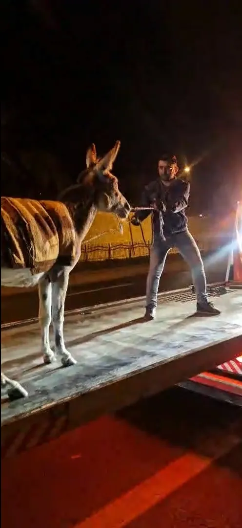 Başkent trafiğinde sıra dışı misafir: Çekiciyle otoparka çekildi