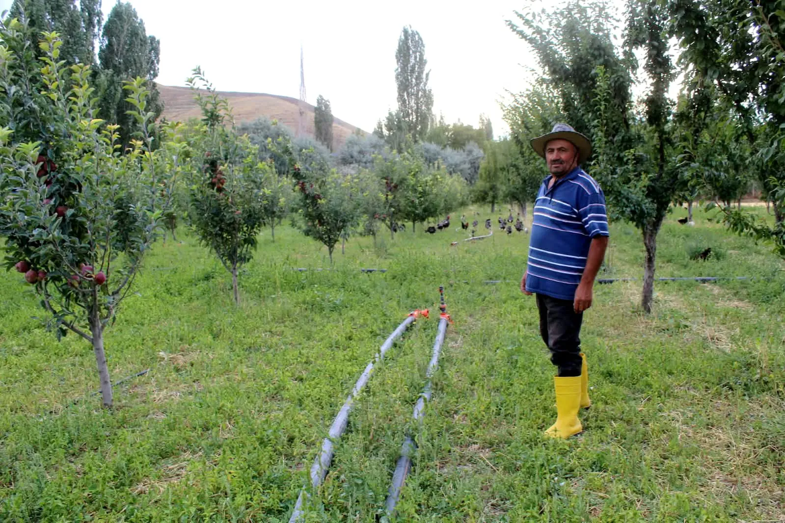 Kozmetik dükkanını kapattı, 300 canlıya yuva oldu: Sigara parasını hayvanlara ayırdı