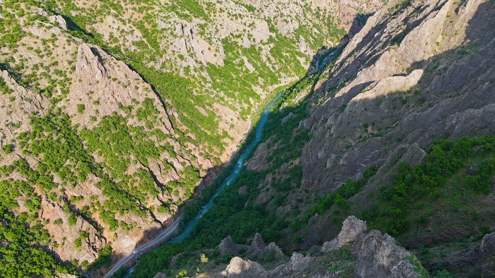 Tunceli'nin endemik hazinesine dokunmanın bedeli ağır oldu: 3 kişiye milyonluk fatura
