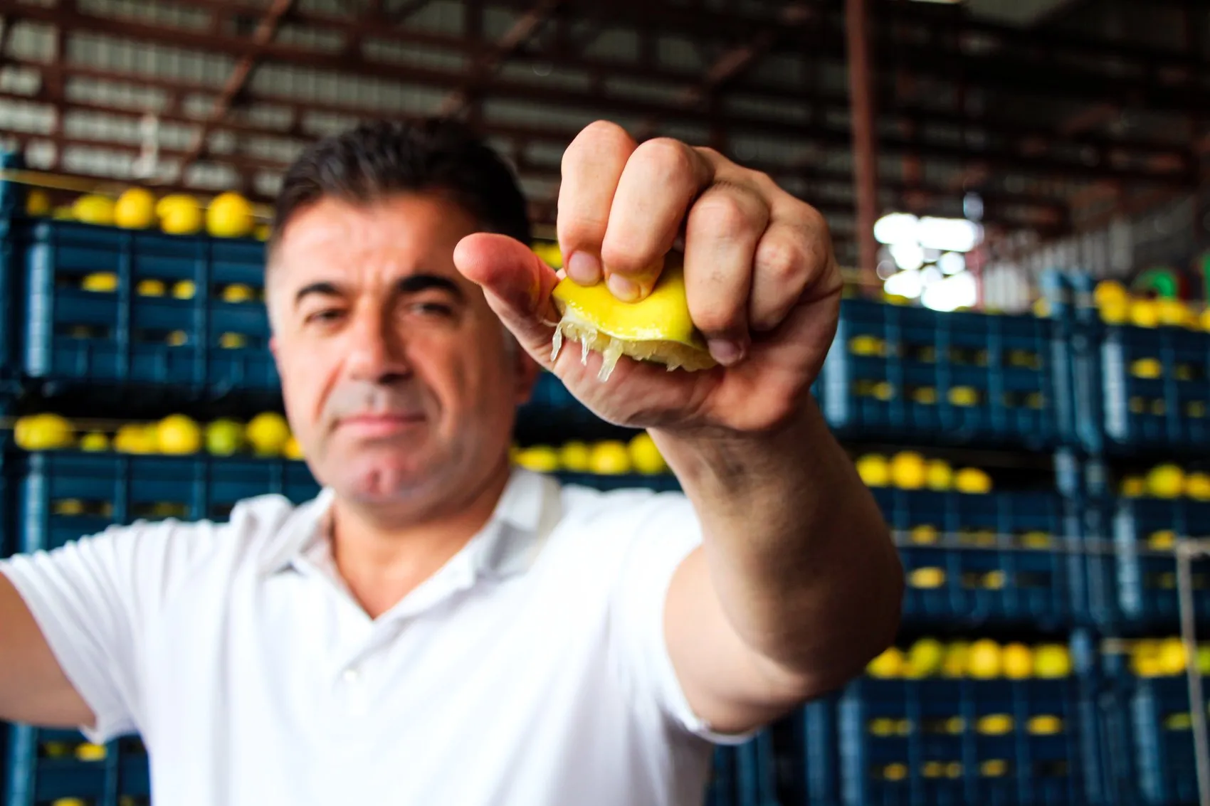 Çiftçinin 5 liraya sattığı limon markette 100 lirayı buldu: Hasat başladı ama yüzler gülmüyor