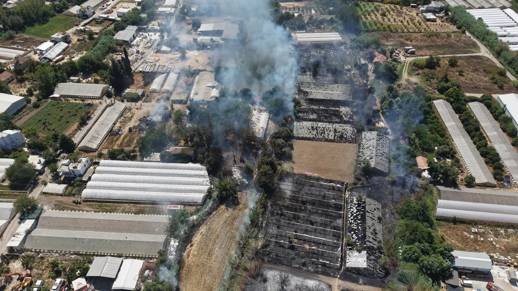 Antalya'da korku dolu anlar: Alevlerin arasından kurtardığı malağına sarılıp gözyaşı döktü