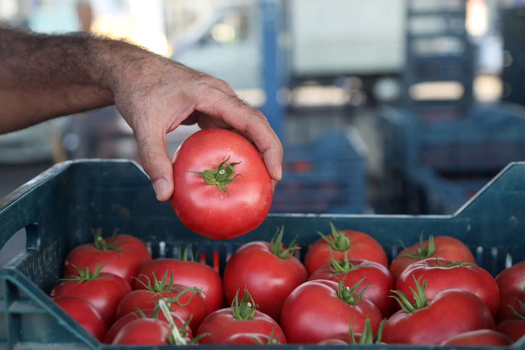 Tarladan sofraya uzanan pahalı yolculuk: 30 liralık ürün markette neden iki katına çıkıyor?