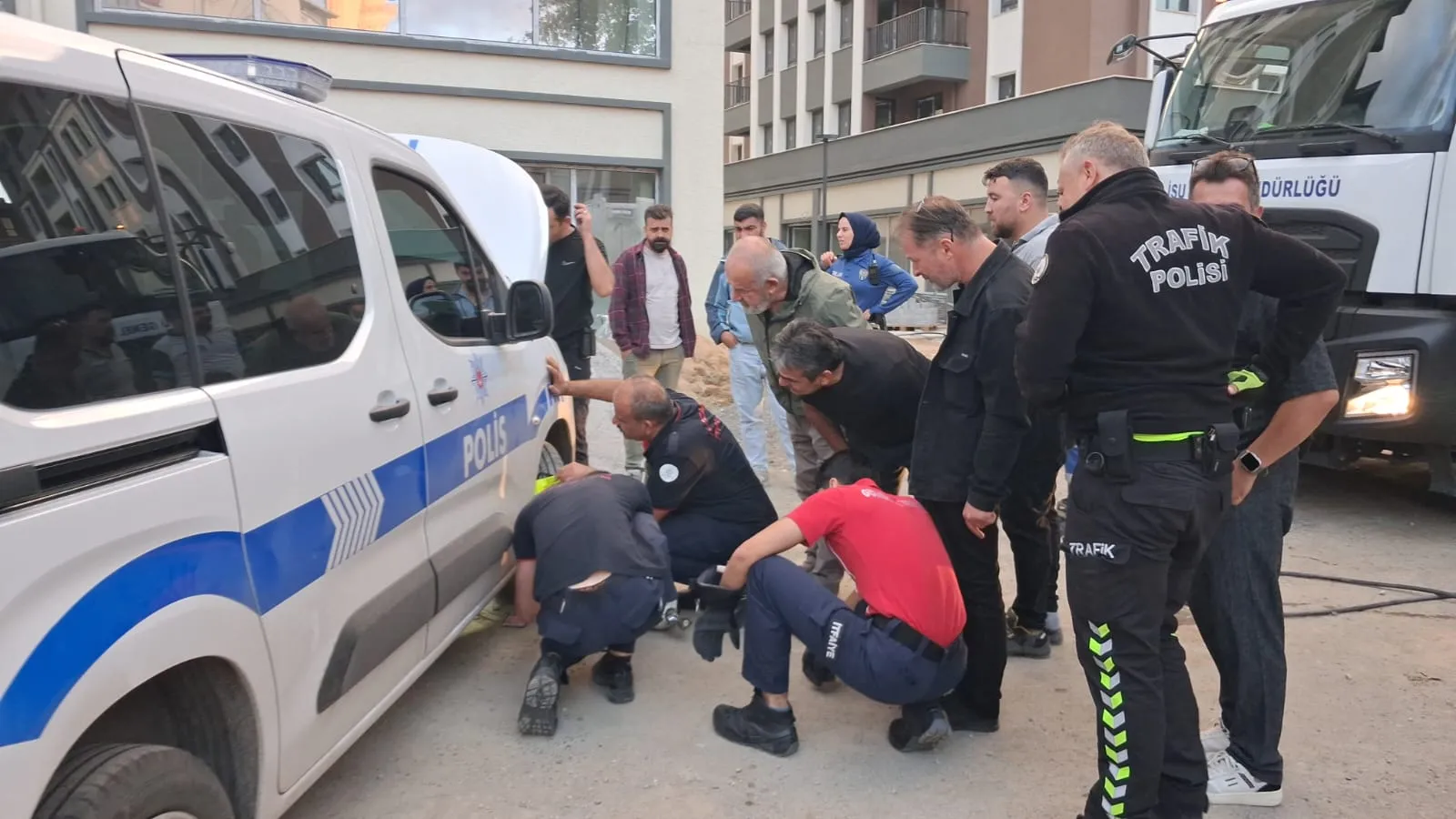 Gölcük'te kedi kovalamacası: Polis aracından kaçtı, motor kaputuna sığındı