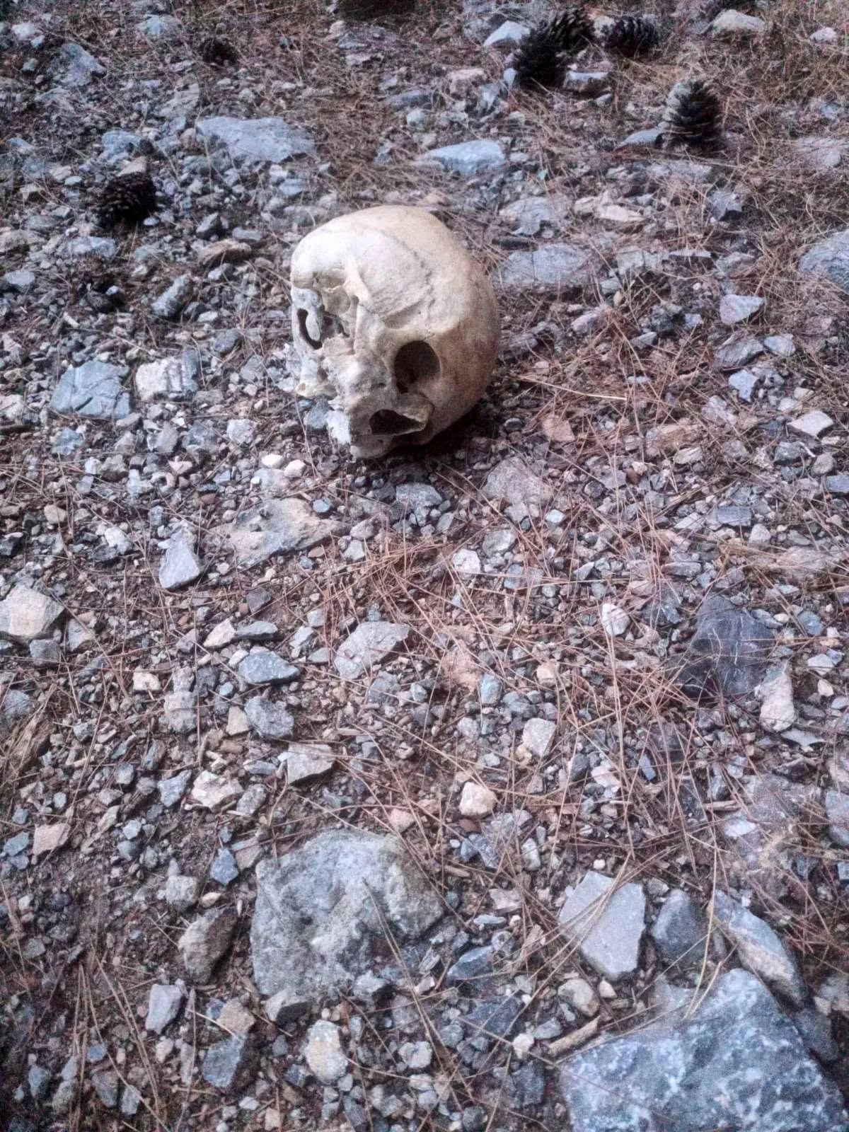 15 aylık gizemli bekleyiş ormanlık alanda son buldu: Hüseyin Karadeniz'den acı haber