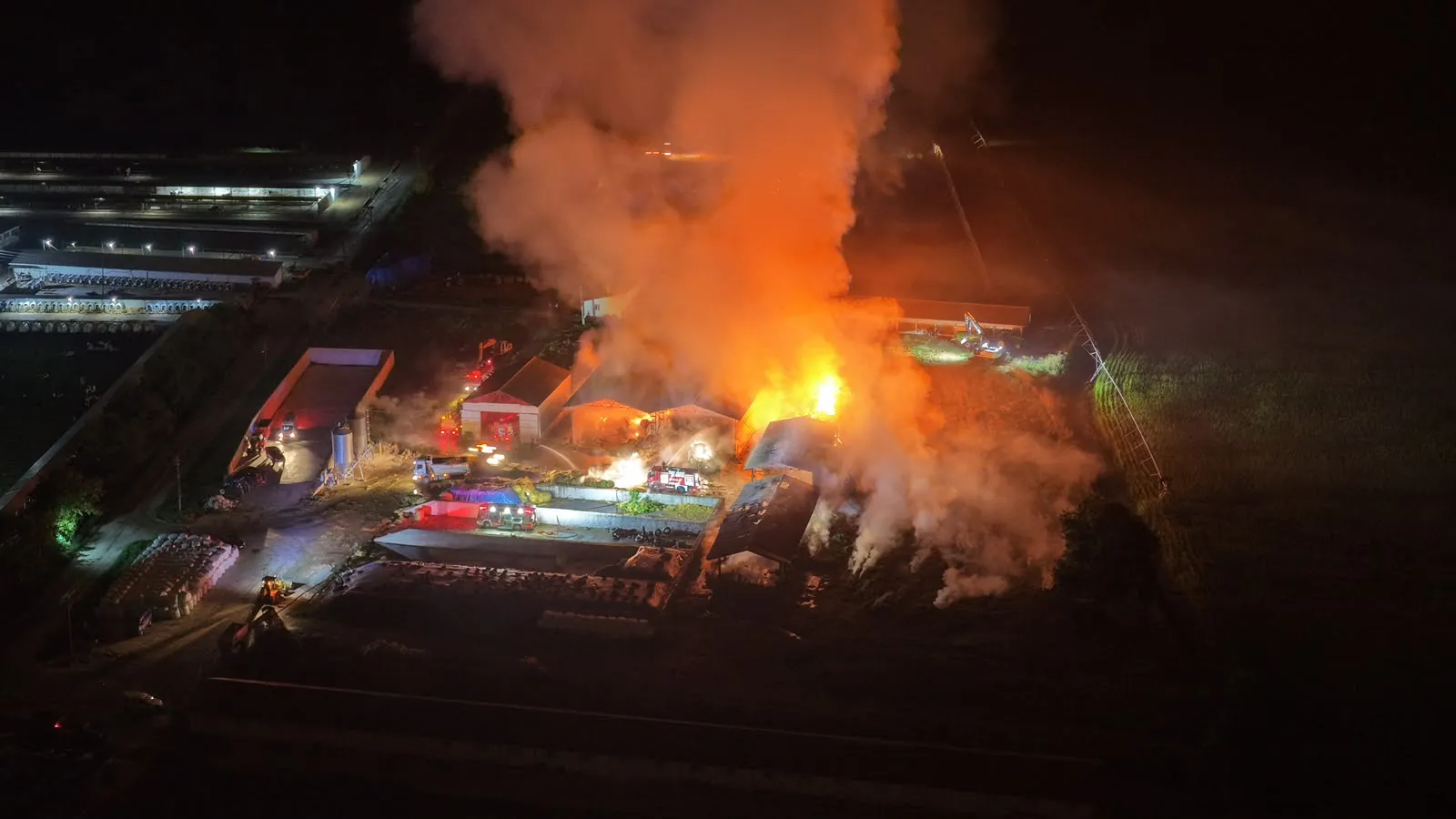 Bafra'da çiftlik yangını: 20 milyon liralık servet dakikalar içinde küle döndü