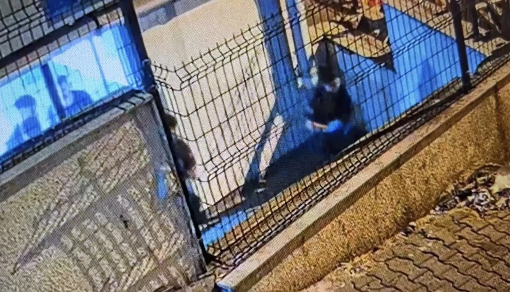 Kağıthane'de rezidans dehşeti: 14'üncü kattan düşen genç kadın hayatını kaybetti