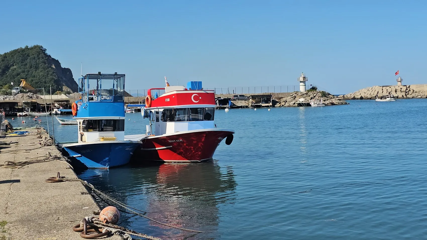 Karadeniz'de sezonun ilk bereketi: 50 tonluk palamut sürprizi yüzleri güldürdü