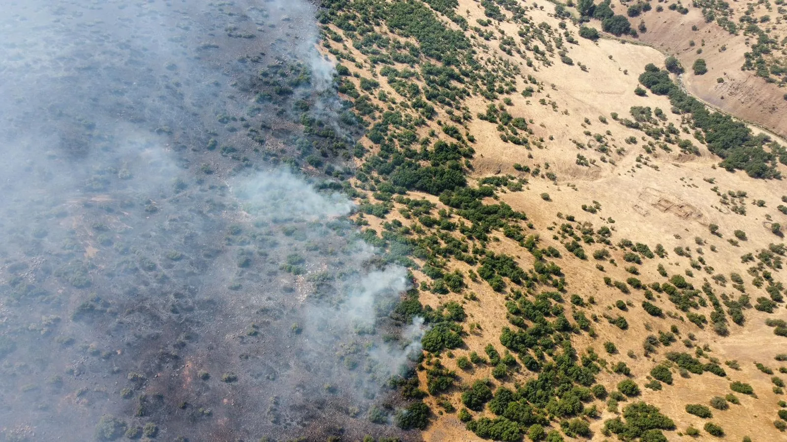 Hamzalı köyünde alevler rüzgarla birleşti: Ekipler seferber oldu