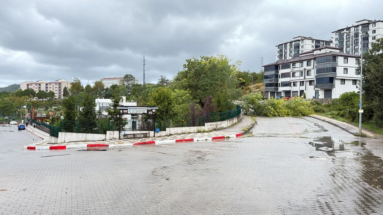 Bartın'da fırtına paniği: Asansörde mahsur kalanlar için seferberlik