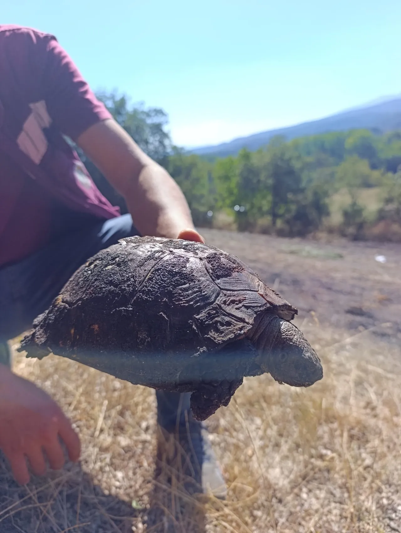 Mudurnu'da korkutan yangın: Alevlerin arasından gelen yaşam belirtisi herkesi duygulandırdı