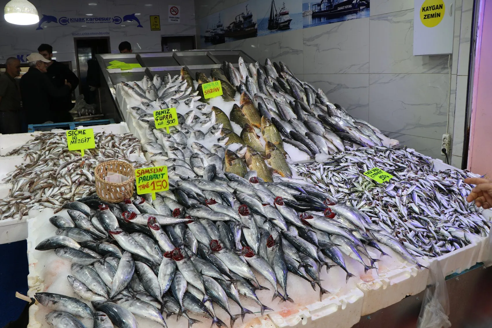 Karadeniz'de beklenen gün geldi: Palamut bereketiyle sezon açıldı