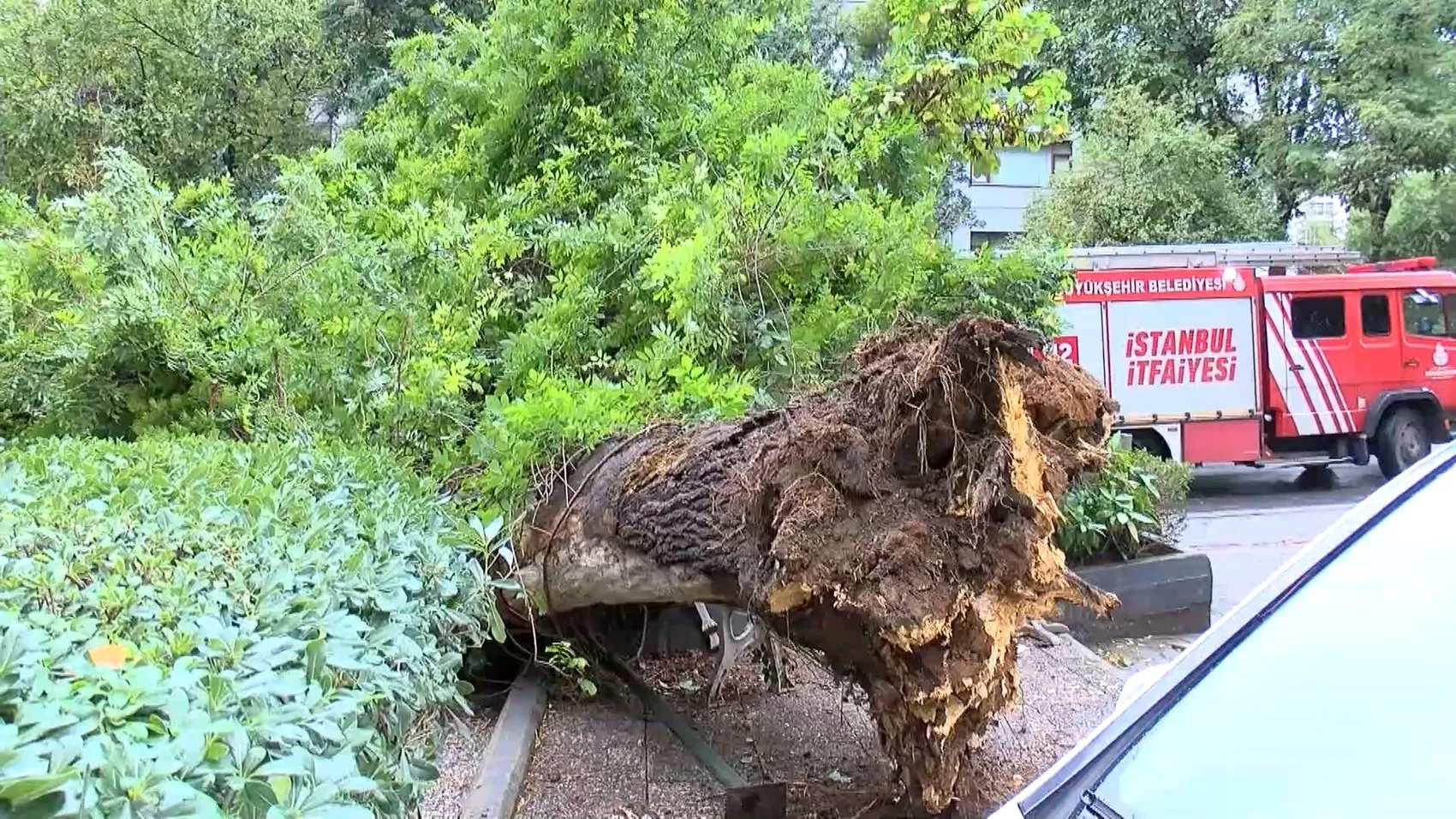 Kadıköy'de sabah saatlerinde korkutan manzara: Park halindeki araç hurdaya döndü