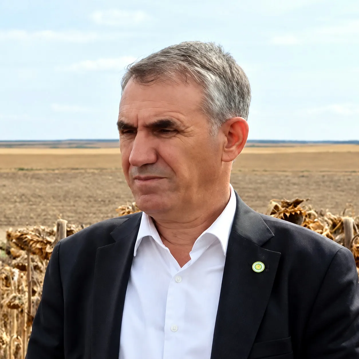 Edirne'de ayçiçeği tarlalarında kuraklığa karşı bilimsel seferberlik: Hasat sonuçları umut veriyor