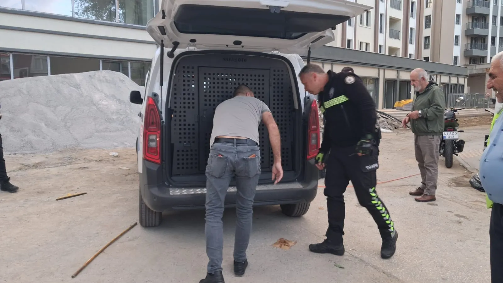 Gölcük'te kedi kovalamacası: Polis aracından kaçtı, motor kaputuna sığındı