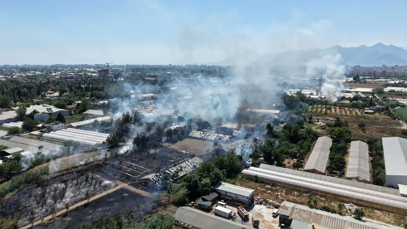 Antalya'da korku dolu anlar: Alevlerin arasından kurtardığı malağına sarılıp gözyaşı döktü