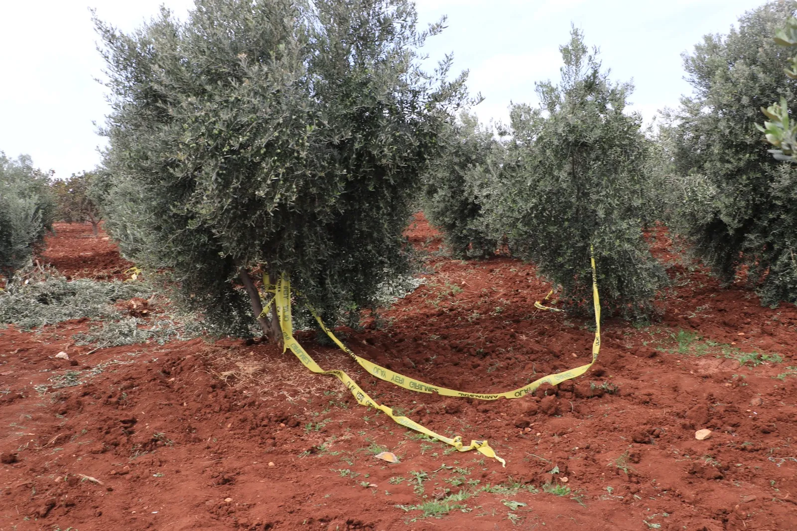 Kilis'te tarla mesaisi acı bitti: Traktörden düşen çiftçi hayatını kaybetti