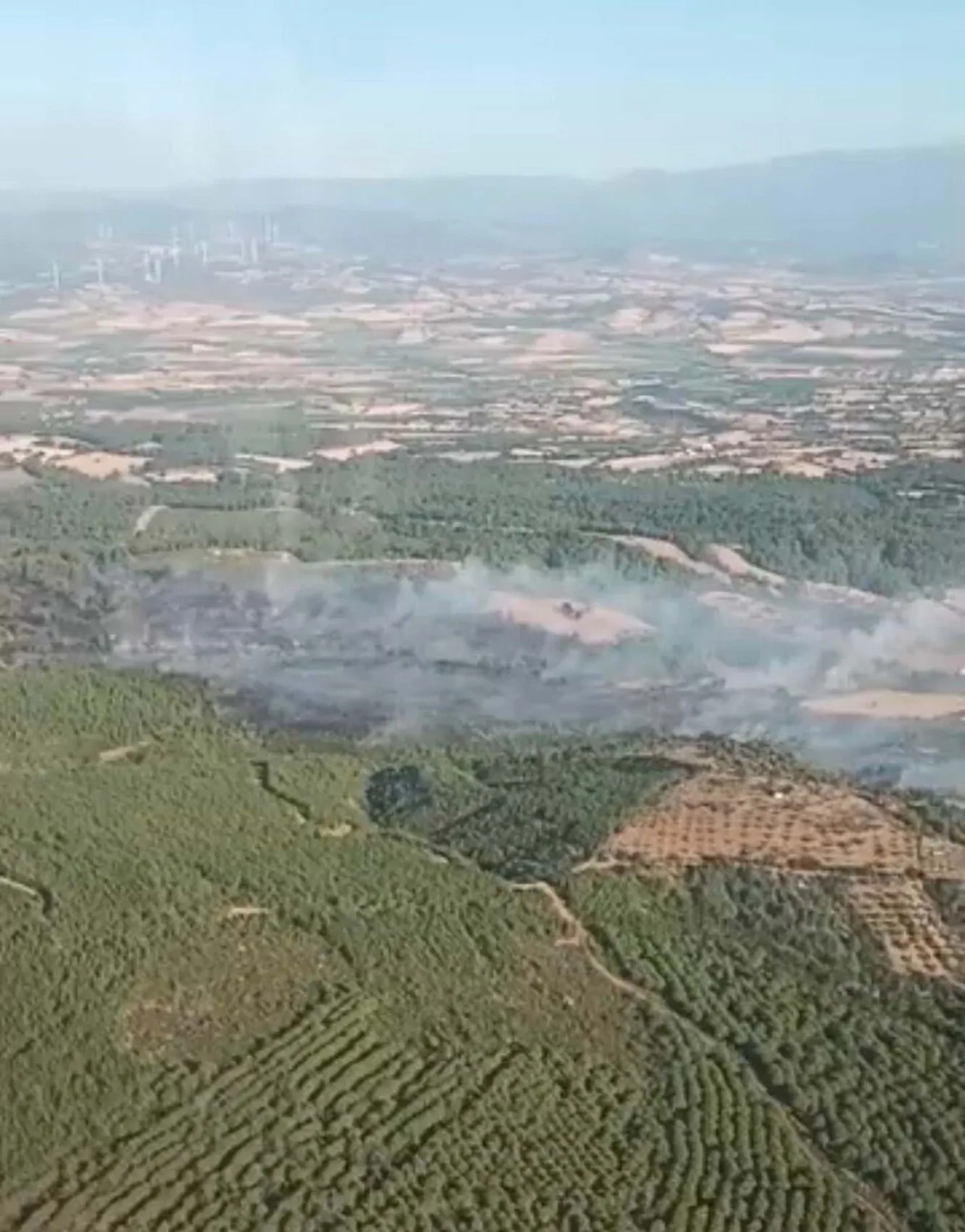 Bayramiç'te alevlerle yedi saatlik zorlu mücadele: 8 hektarlık alan küle döndü