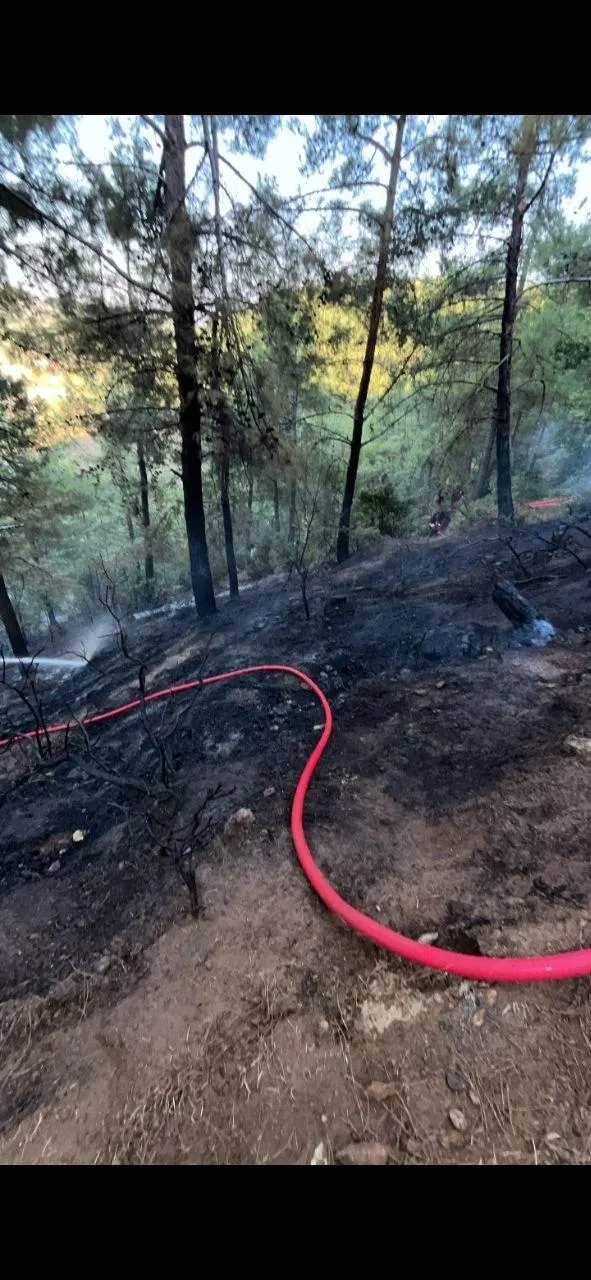 Hassa'da ormanlık alanda korkutan dumanlar: Ekipler zamanla yarıştı