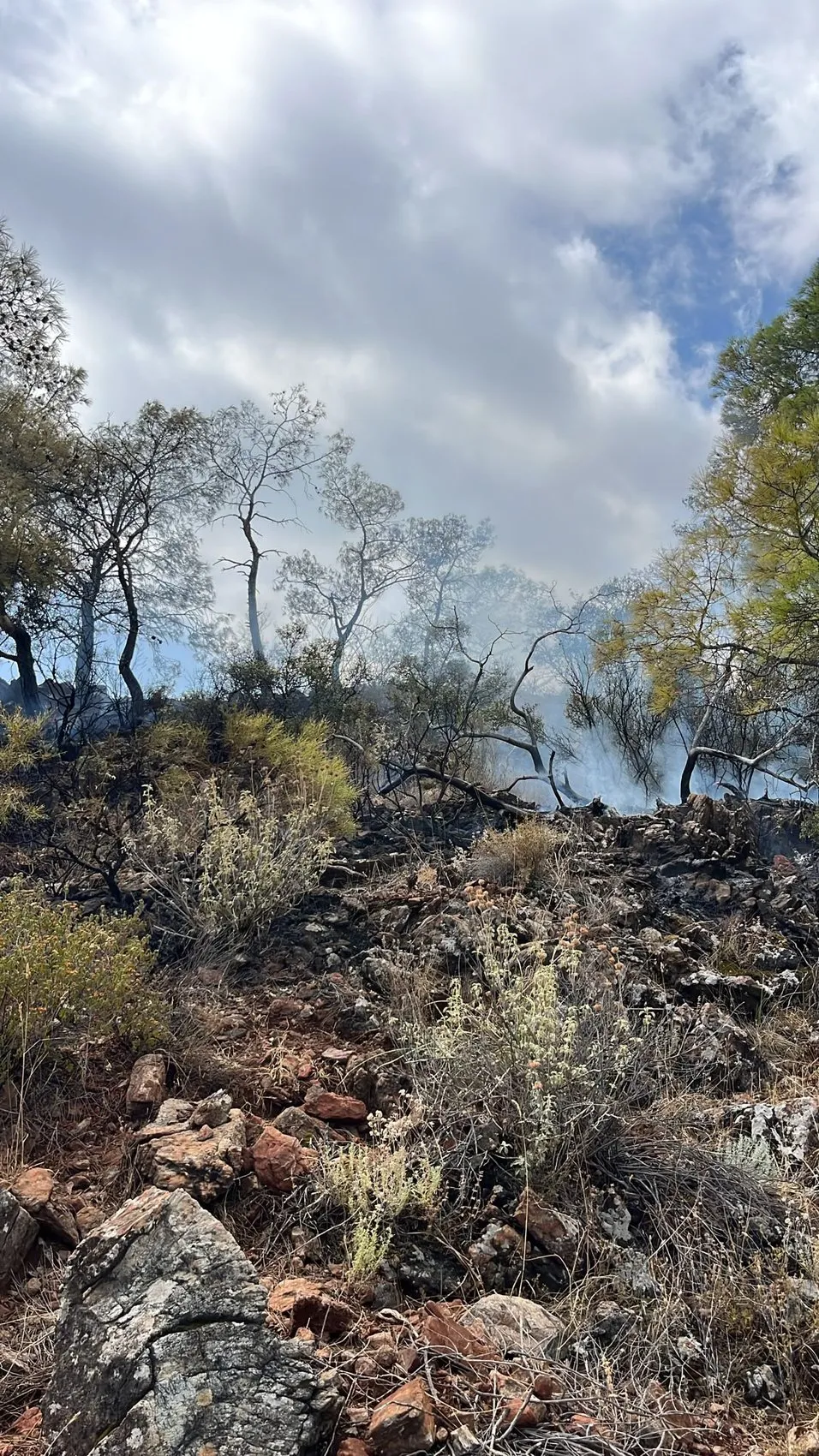 Kemer'de ormanlık alandan yükselen dumanlar korkuttu: Ekipler zamanla yarıştı