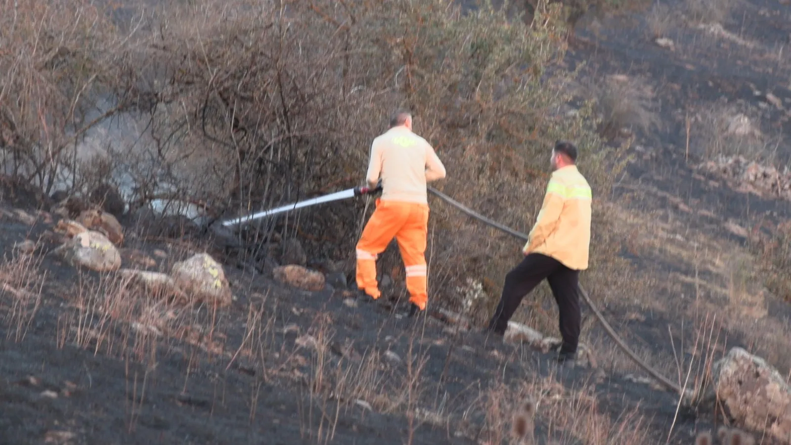 Gerede'de korku dolu anlar: Tarladan ormana sıçrayan alevler köylüleri tedirgin etti
