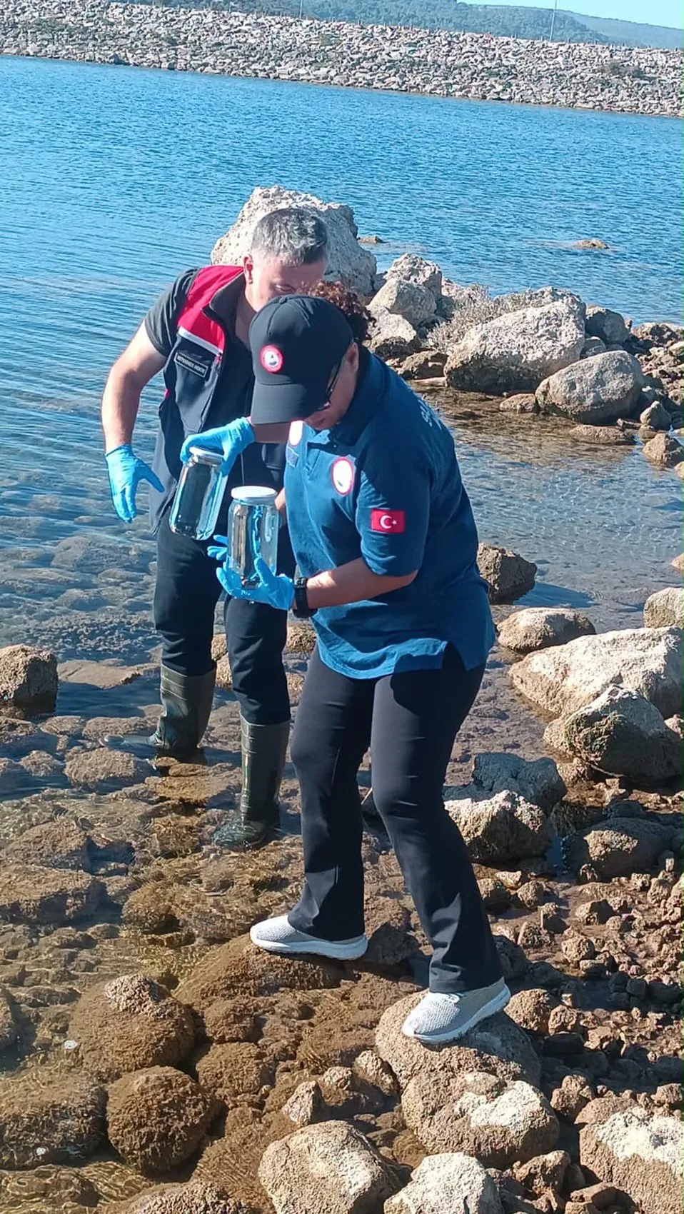 Ayvacık Barajı'nda endişe verici tablo: Kıyılar balık ölüleriyle doldu