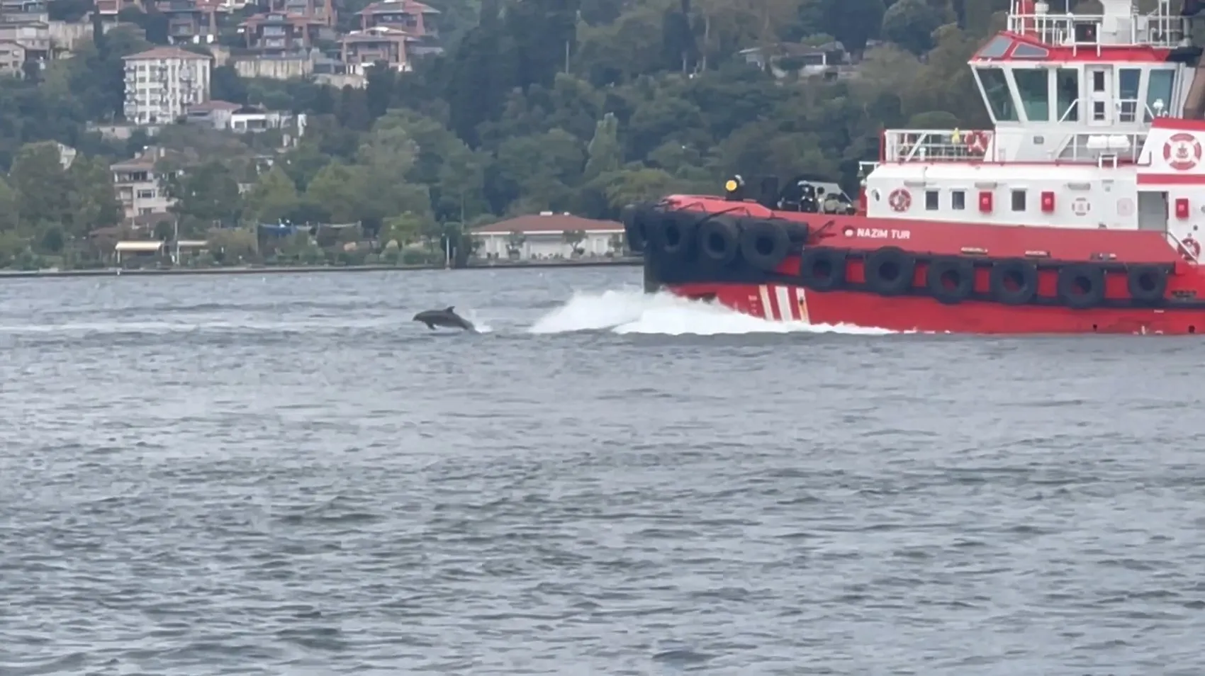İstanbul Boğazı'nın sabah misafirleri: Kıyı Emniyeti gemisine eşlik ettiler