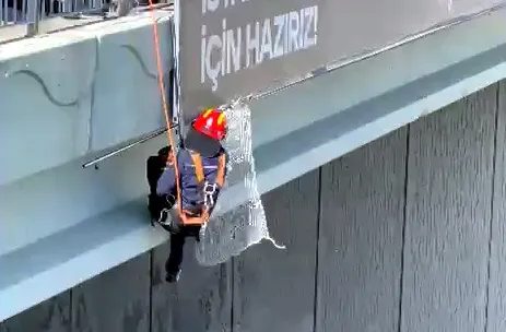 Arnavutköy'de yürekleri ağza getiren kurtarma operasyonu: Reklam panosuna sıkışan kedi için seferber oldular