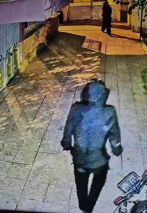Reyhanlı'da gece yarısı operasyonu: Avluya giren maskeli hırsızlar kamerada