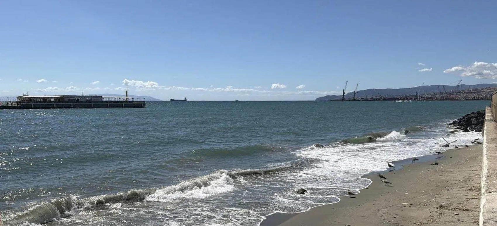 Marmara'da poyraz bereketi vurdu: Balıkçılar ağlarını onarıyor, gözler perşembe gününde