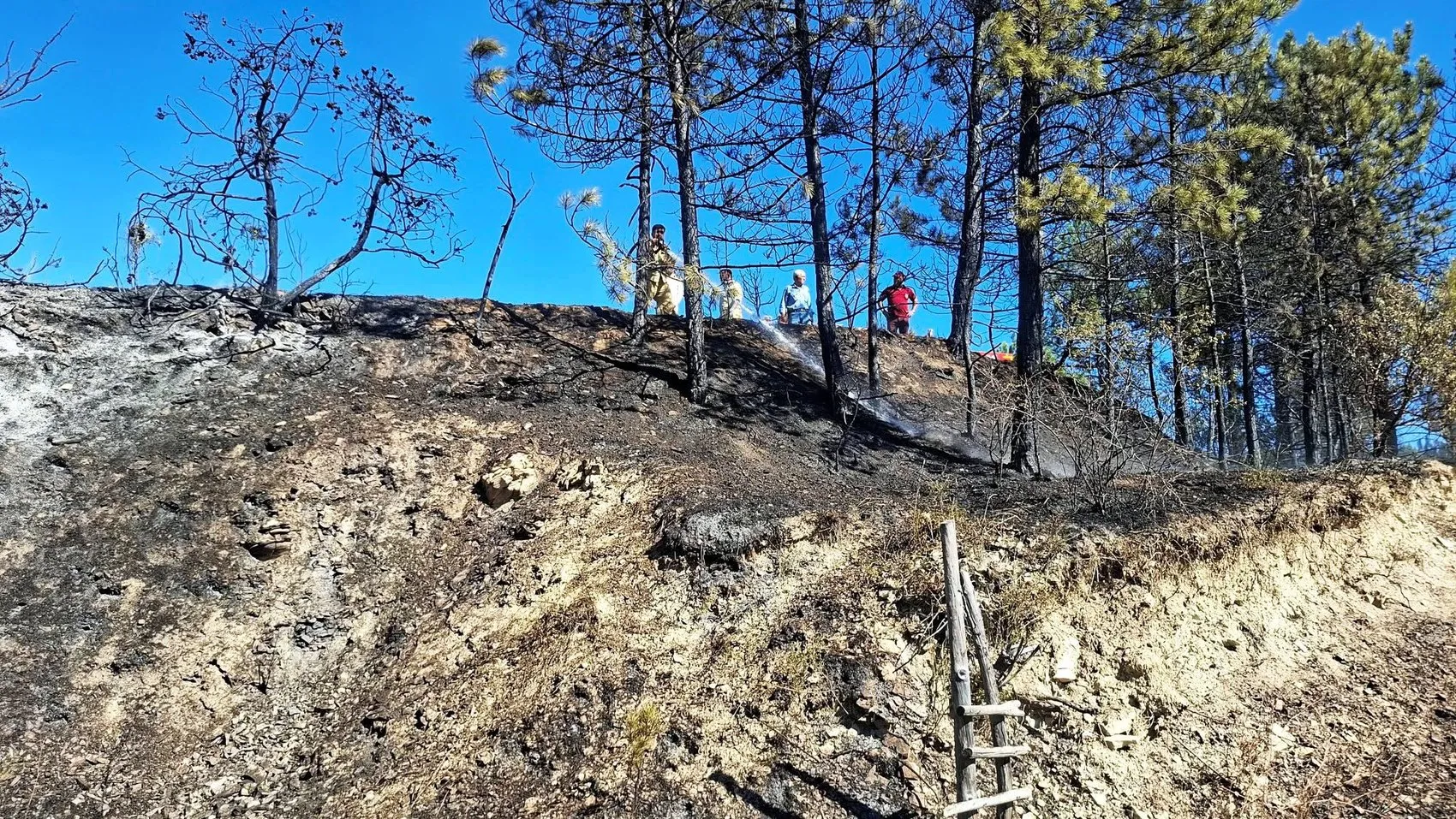 Kütahya'da korkutan alevler: Ormana ulaşmadan durduruldu