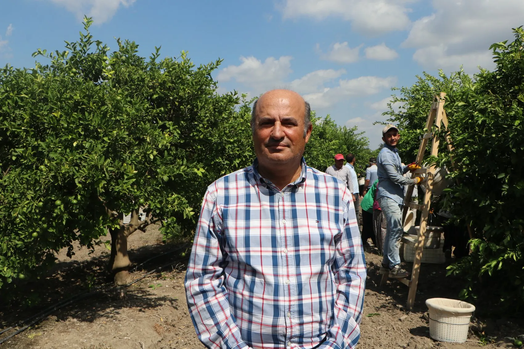 Tarlada çürüyen ürün markette nasıl servet oluyor: Çözüm üreticinin elinde