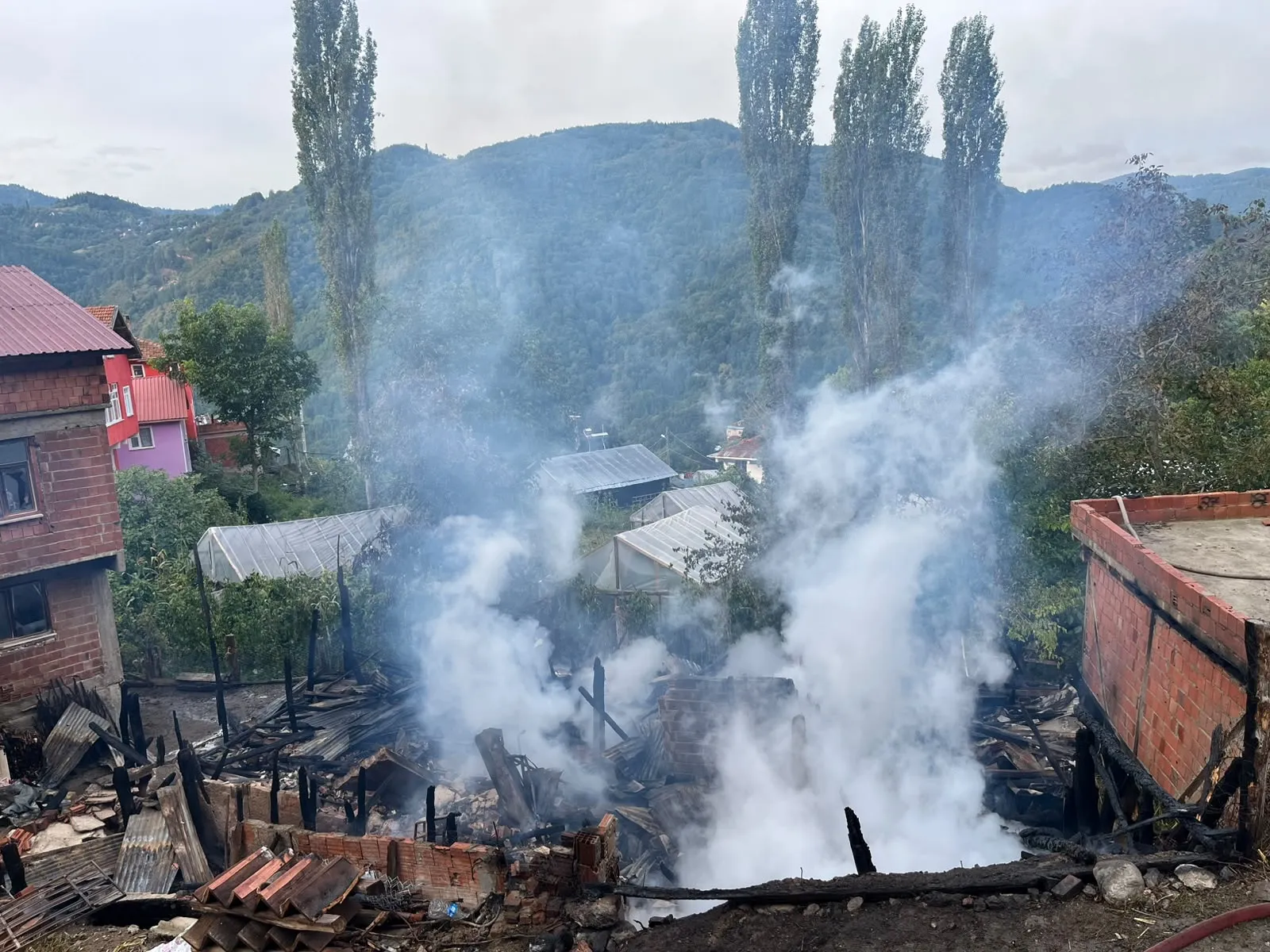 Kastamonu'da korku dolu anlar: Ahşap ev küle döndü, hayvanlar telef oldu
