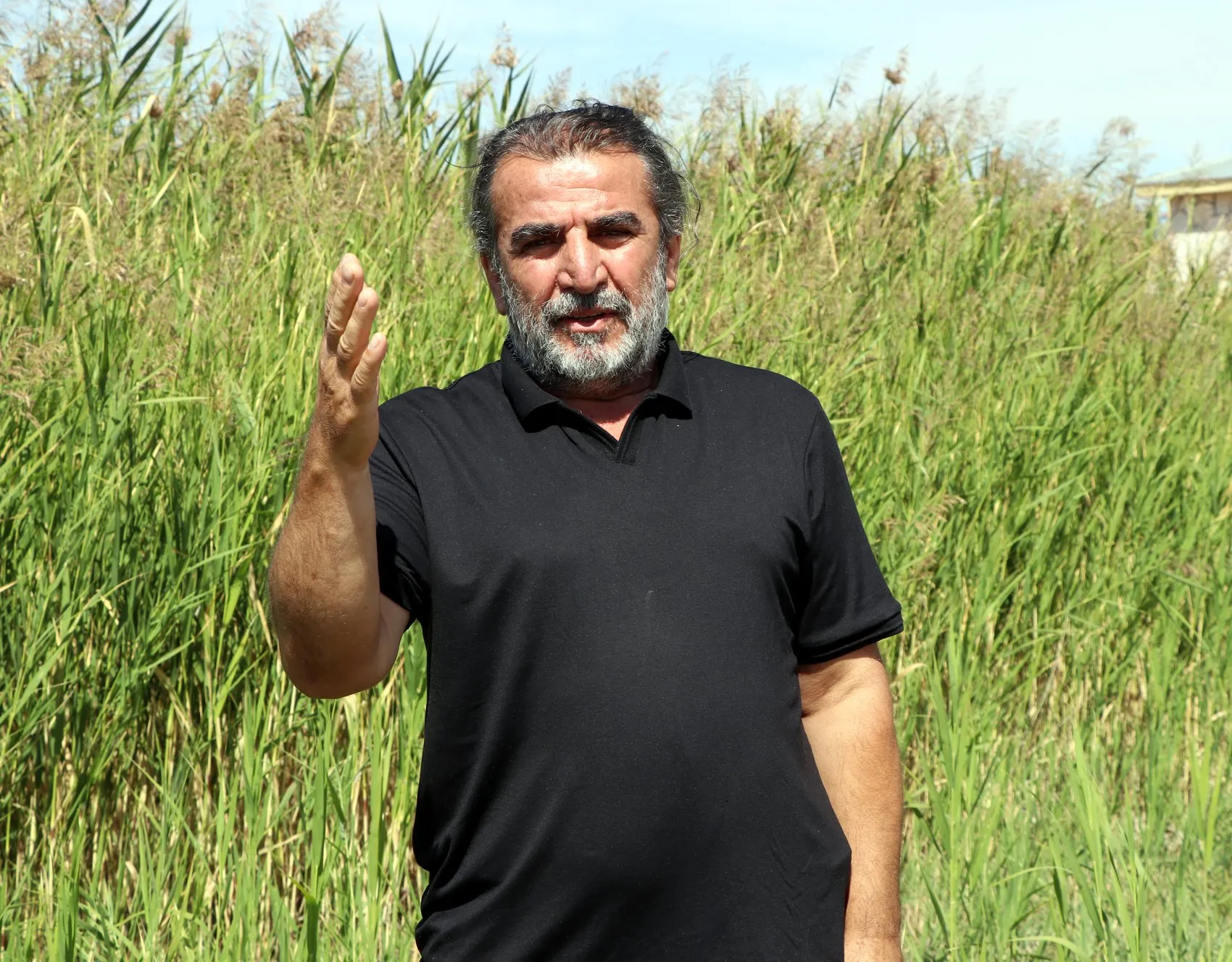 Doğanın meteorologları Van'da buluştu: Allı turnaların büyük göç hazırlığı başladı