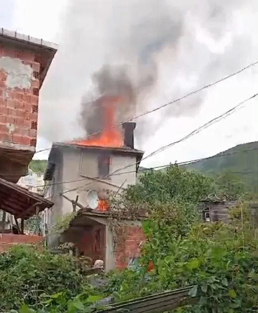 Cide'de bir yıllık emek küle döndü: Fındık hasadı alevlere teslim oldu