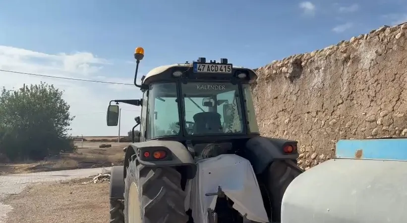 Traktörünü feda eden çiftçinin sabırlı bekleyişi sonuç verdi: İlk misafir dünyaya gözlerini açtı