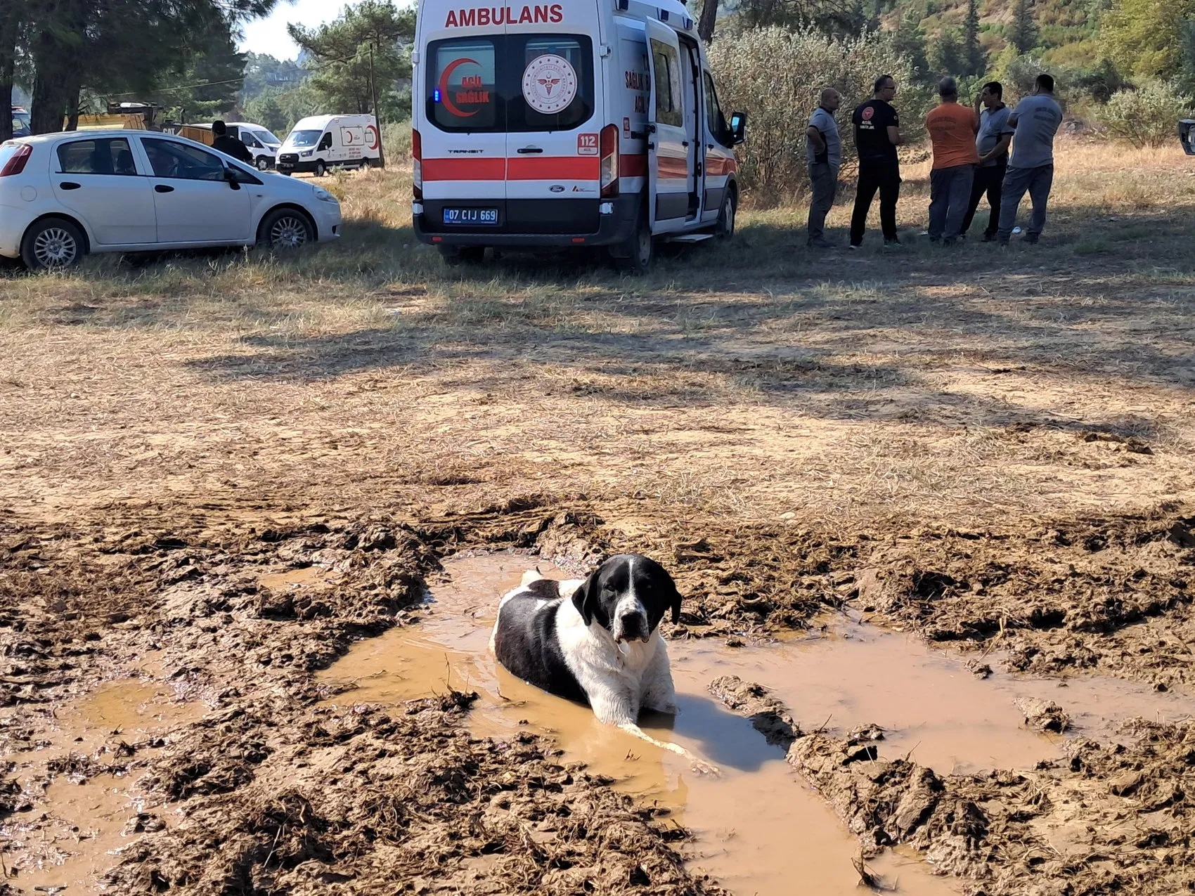 Serik'teki yangın bölgesinden gelen o görüntü yürekleri serinletti