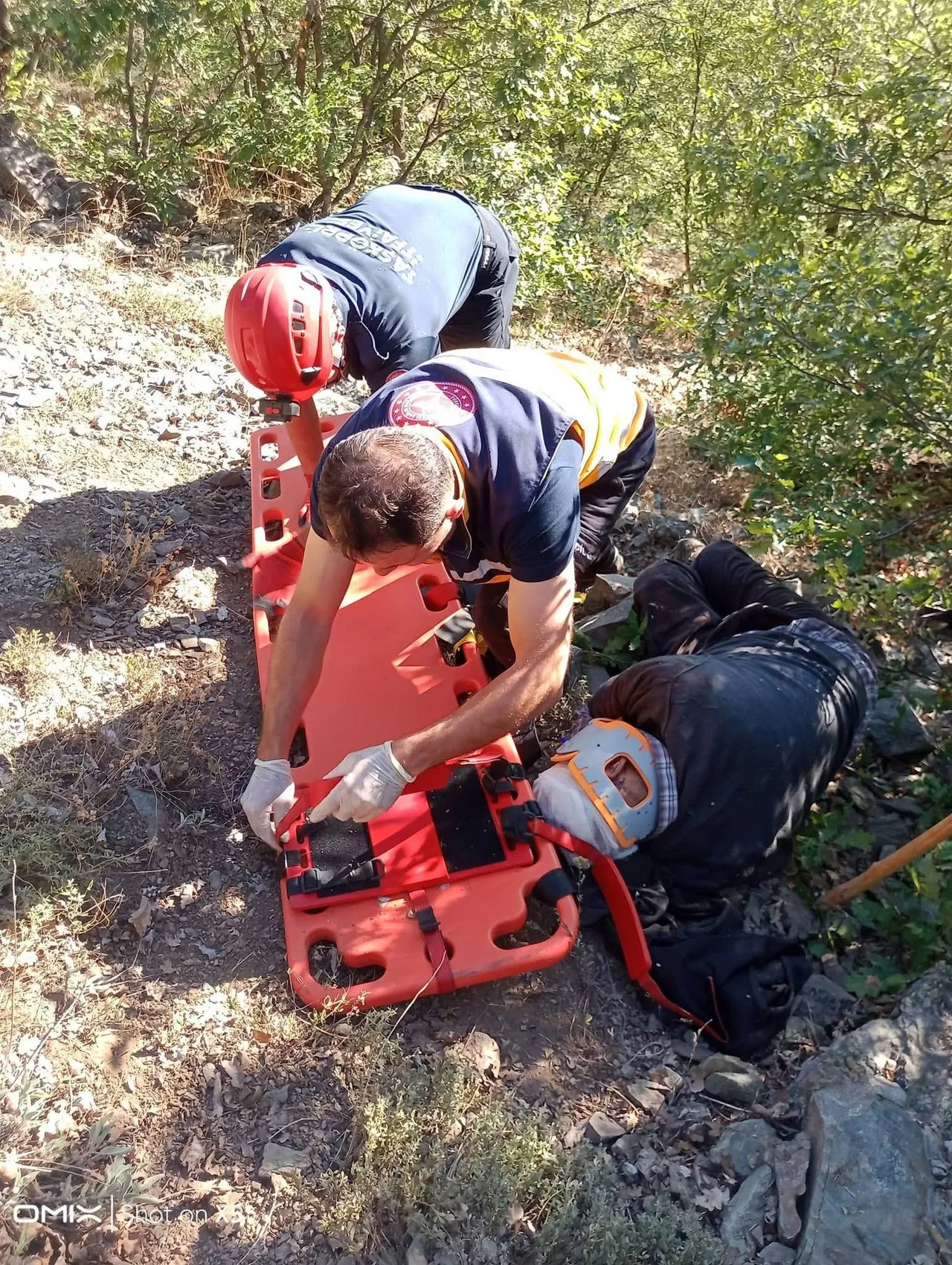 Kuşburnu hasadı kabusa döndü: Ormanlık alanda metrelerce sürüklendi