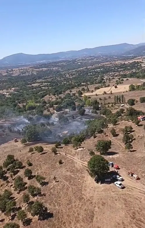 Orhaneli'de korkutan anız yangını: Alevler orman sınırında durduruldu