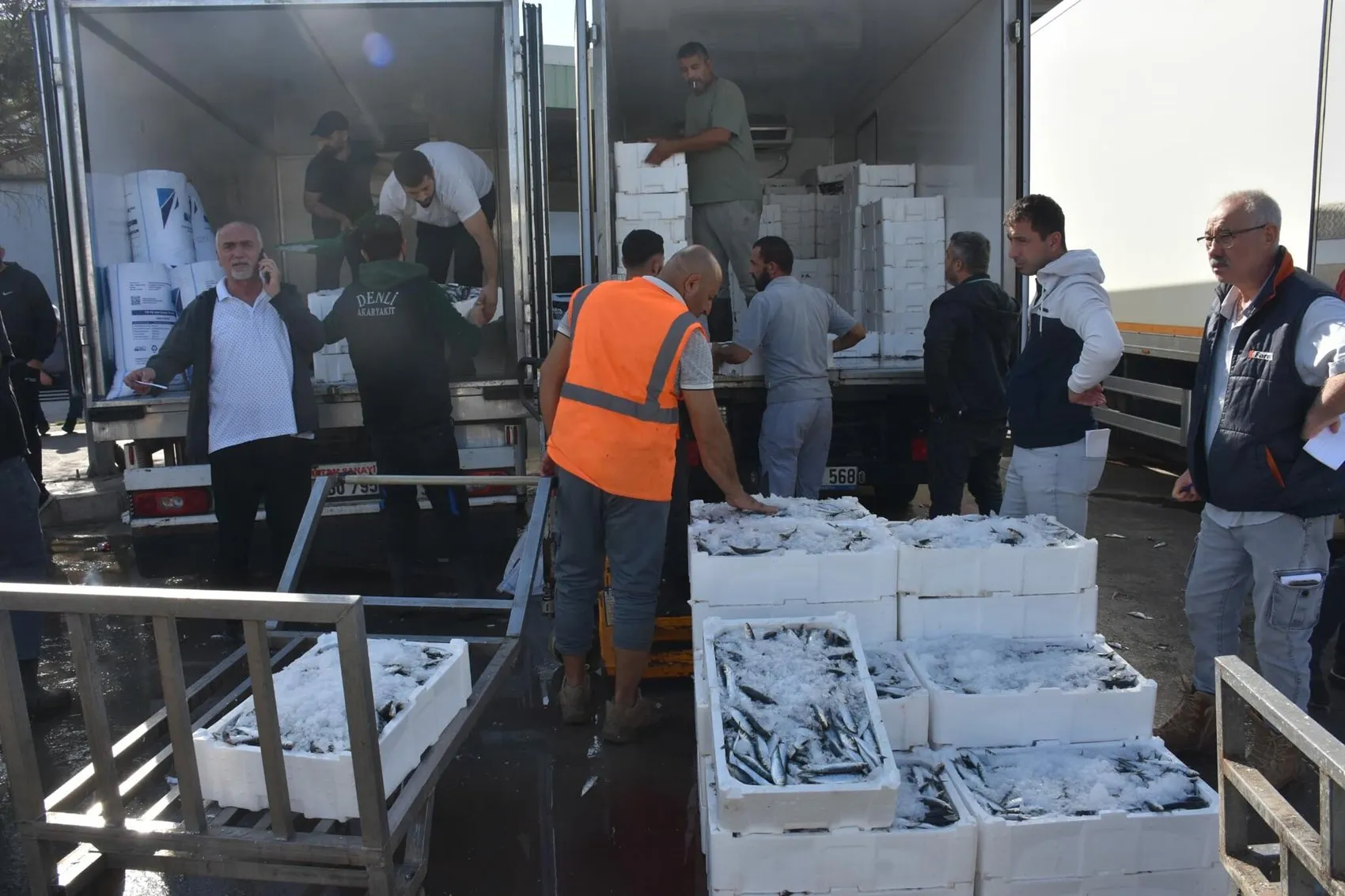 İzmir tezgahlarında yüz güldüren bolluk: Balık fiyatları dibi gördü