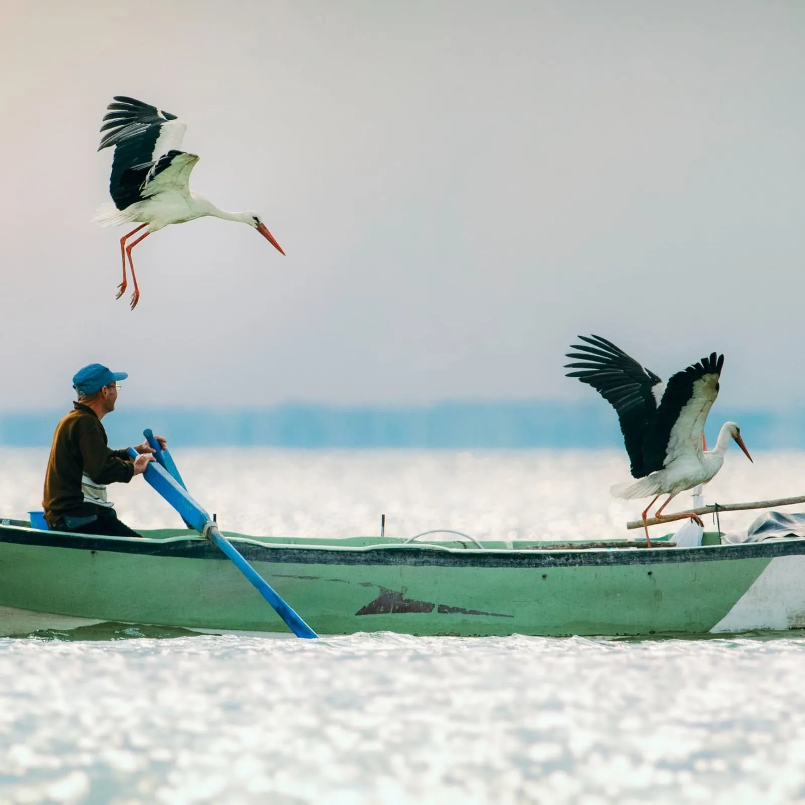 Eskikaraağaç'ta hüzünlü veda: Yaren ve Nazlı gökyüzündeki uzun yolculuğuna kanat açtı