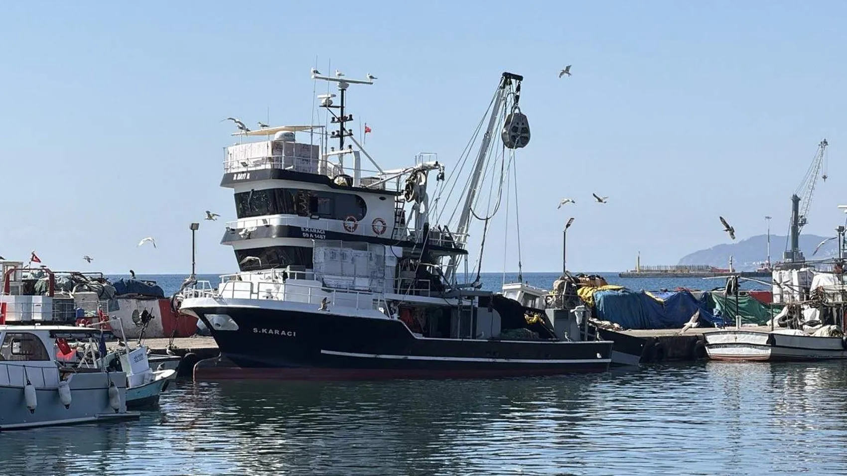 Marmara'da sezonun ilk müjdesi: Palamut ağları doldurdu, tezgahlarda fiyatlar belli oldu
