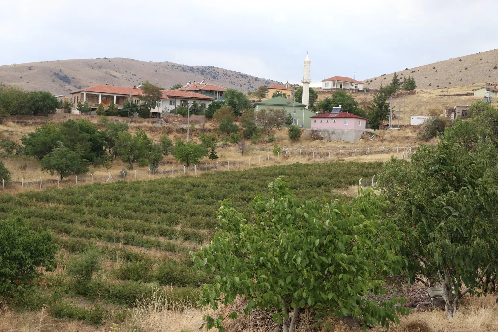 Kardeşinin tavsiyesiyle kurduğu devasa bahçede hayalleri suya düştü: Süper meyve elimizde kaldı
