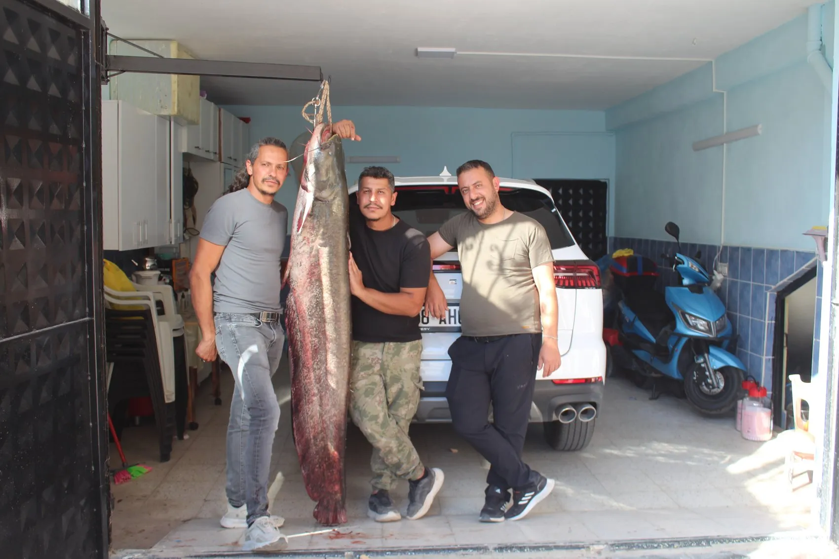 Kızılırmak'ta devasa sürpriz: Oltaya takılan 45 kiloluk dev balıkçıları terletti