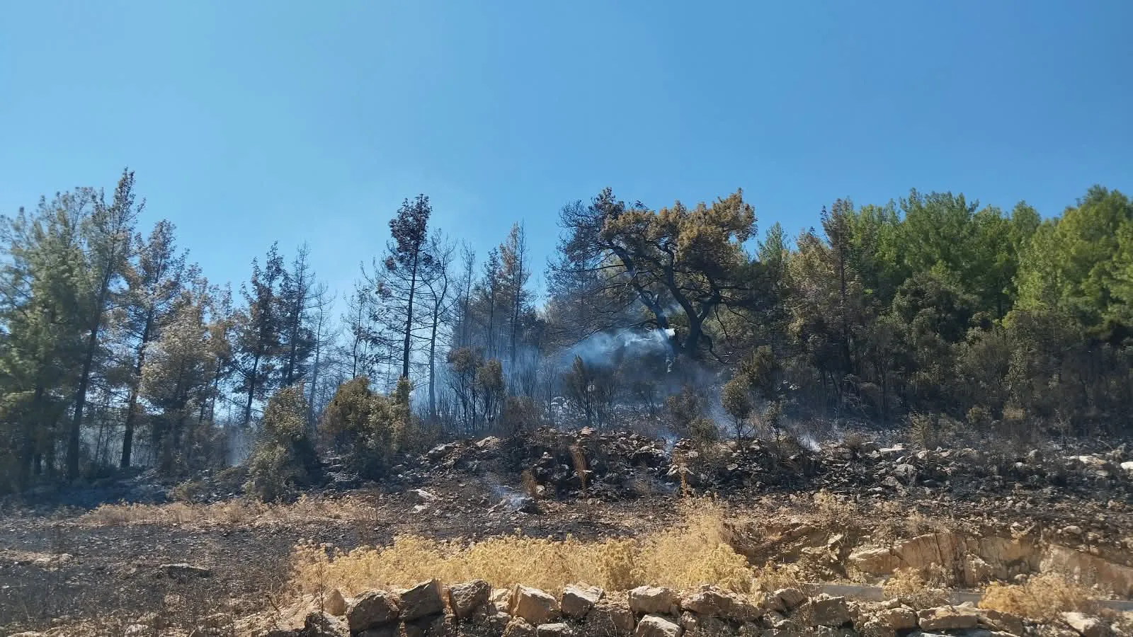 Burdur'da orman alarmı: Alevler köyleri tehdit ediyor