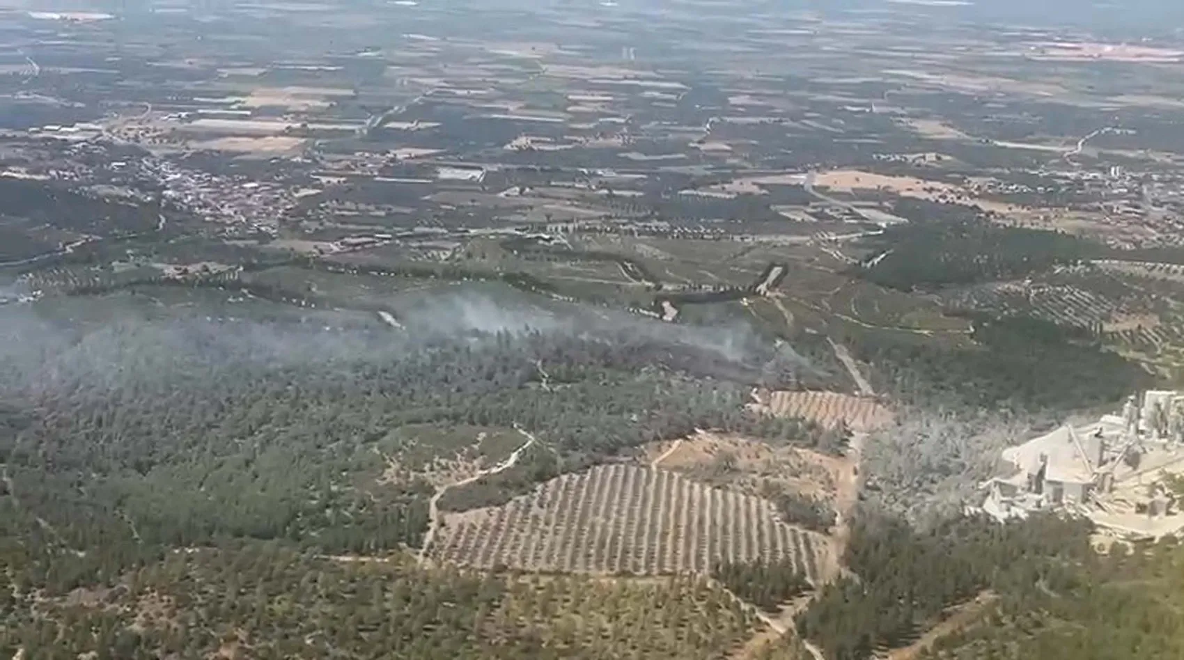 Soma'da ormanlık alanda korkutan yangın: Ekipler seferber oldu