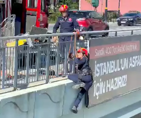 Arnavutköy'de yürekleri ağza getiren kurtarma operasyonu: Reklam panosuna sıkışan kedi için seferber oldular