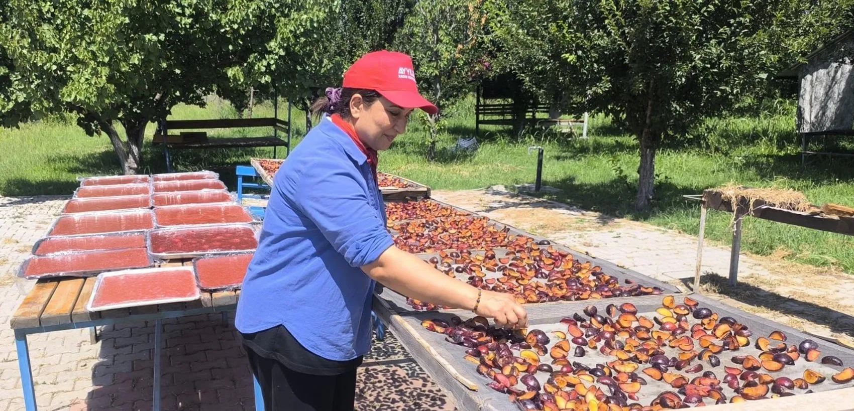 Iğdır'ın Siyah İncisi'nde Hasat Heyecanı: Bu Yılın Gözdesi Sofralara Farklı Formlarda Taşınıyor