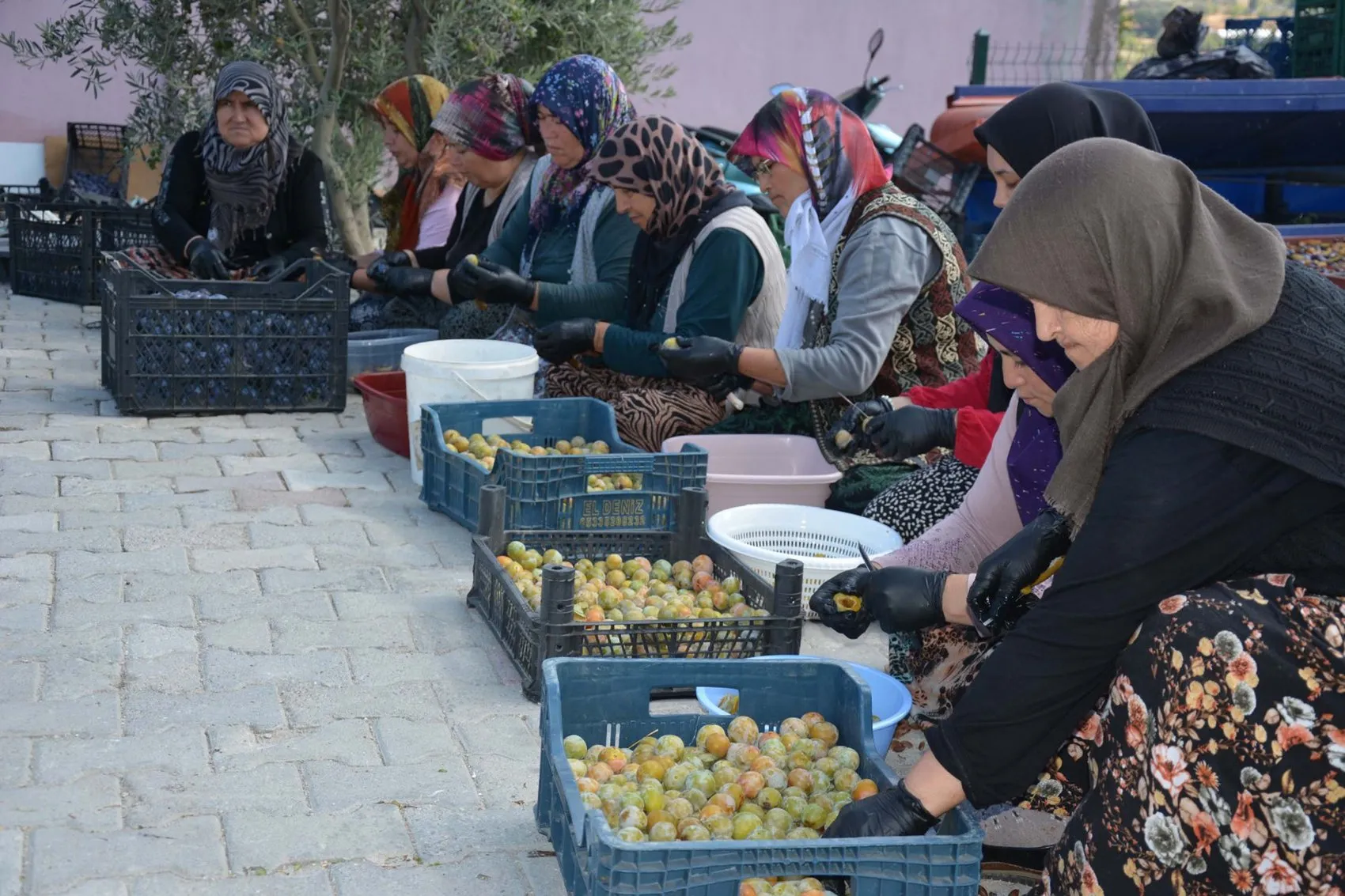 Manisa'nın 138 yıllık lezzet mirası: Figan-i Efendi eriği artık dünya sofralarında